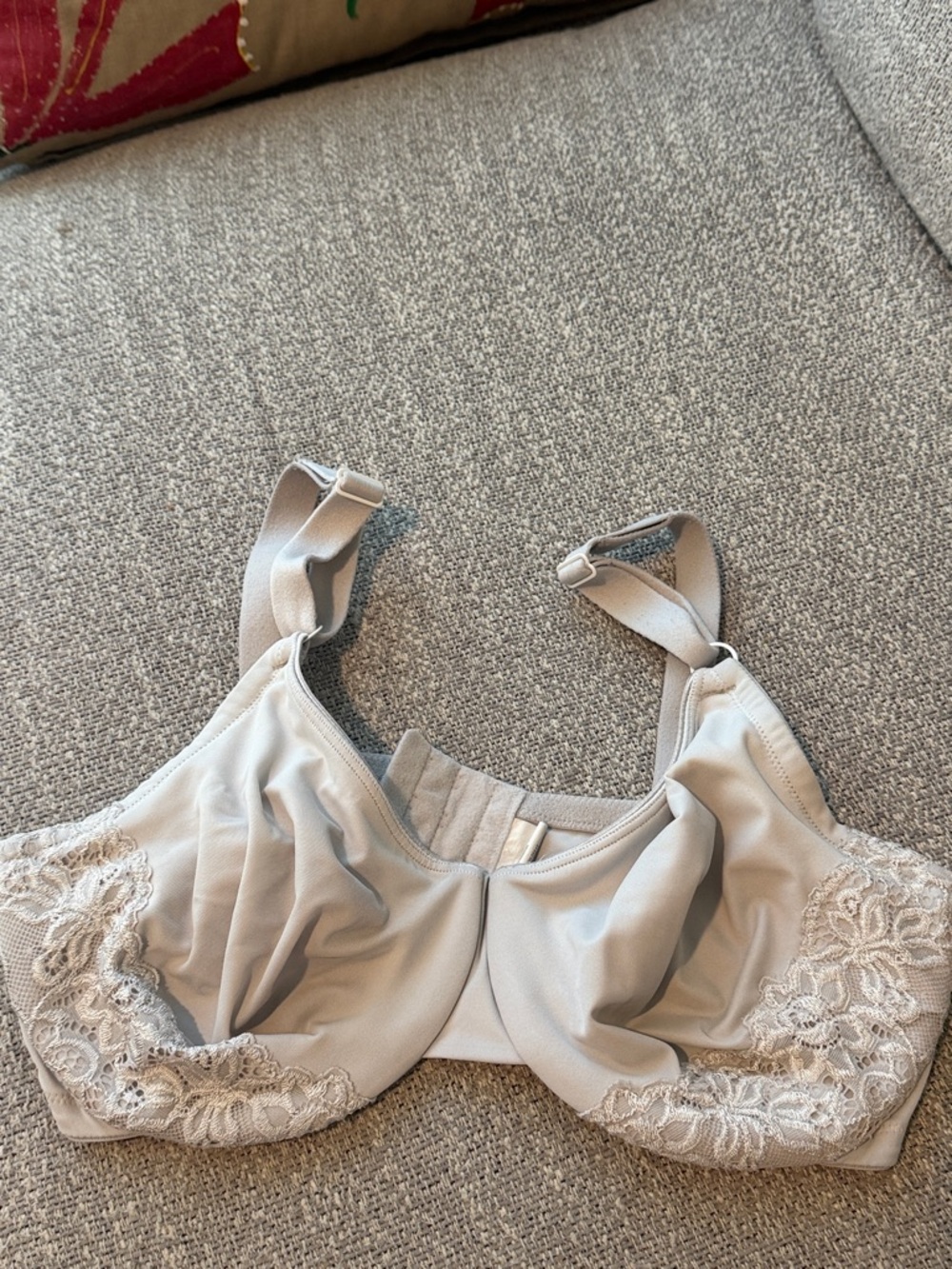 Olga Lace-Trim Full Coverage Bra in Light Gray